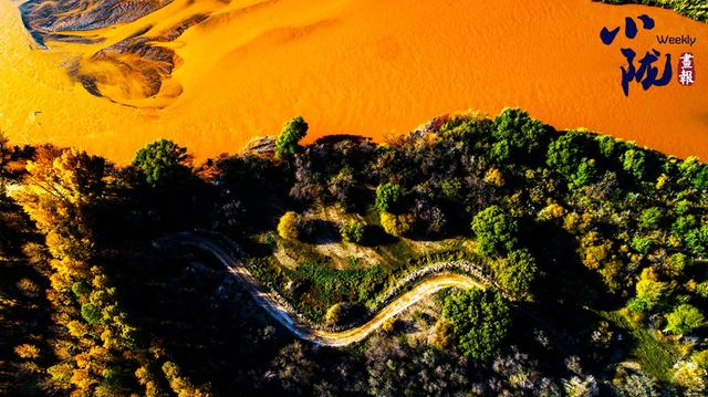 【小陇画报·435期】民勤：千顷湿地卧戈壁 续写生态新画卷