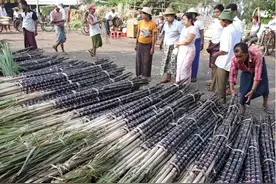 中缅边境军演完，中方人员一路抵佤邦，教缅甸民众扛锄头致富图片