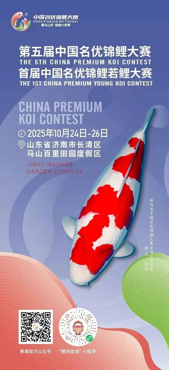 济南秋日必冲！锦鲤大赛即将开启，行程直接抄作业！