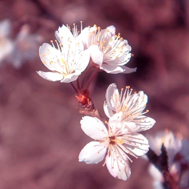 人有没有福气！看吃饭就知道：有福气的人，吃饭大多有这几个特征