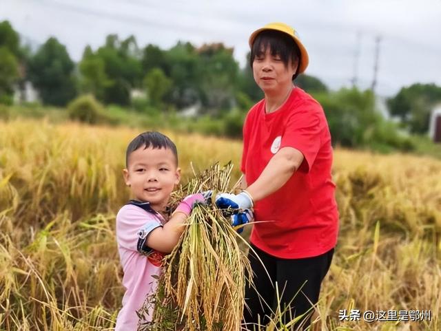 上新！鄂州新增一座“农场乐园”