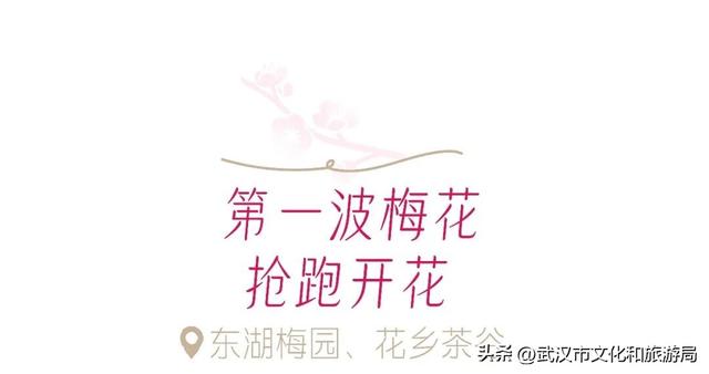 万株兰花盛放，2026赏花季，来了！