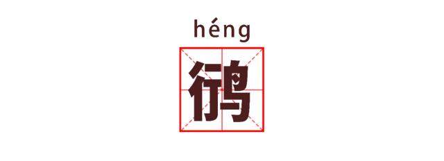 湖北公安 |【万里长江湖北行】鹳䴙䴘鸻鹈鹕鳽鹬鹛鹀䴓鹎，到底怎么读？