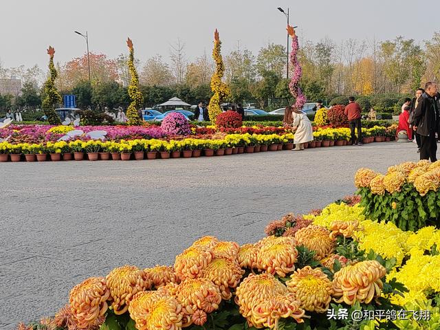 开封万岁山武侠城之约