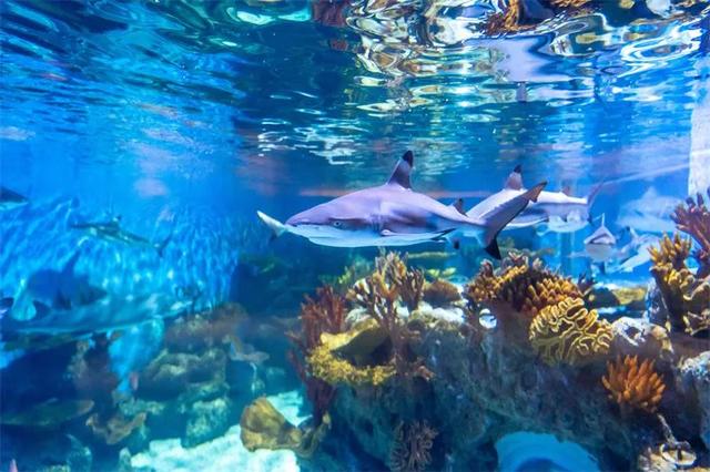 跟着滇超游大理!我们送福利来啦→