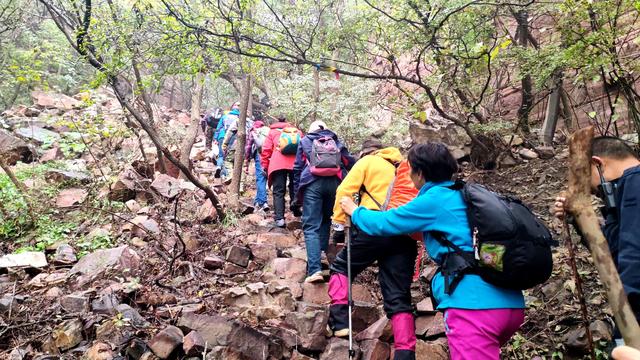雾锁风挡山，红叶引客来