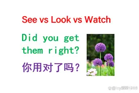 英语四个看的区别和用法see、look、watch、read图片