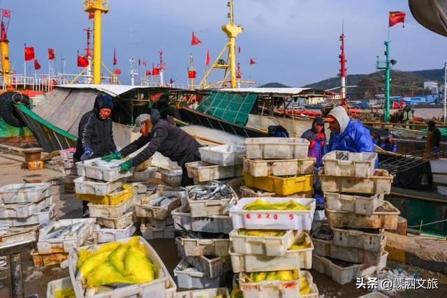 又被美到！泗礁岛初冬这么拍，张张是大片！
