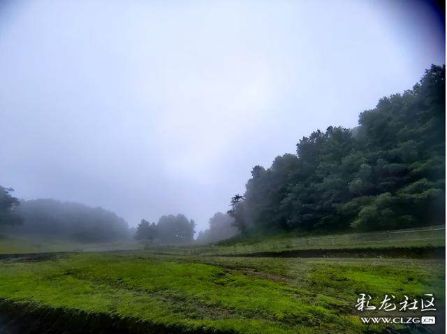 昆明有个阿勒泰
