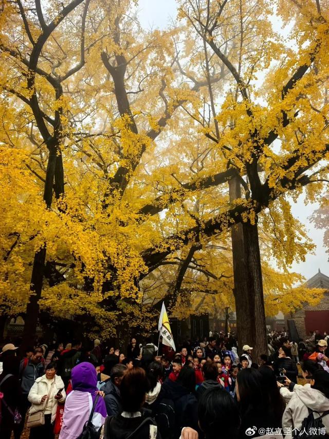 连发两篇!赵立坚推介日照这一美景:每一帧都是壁纸!