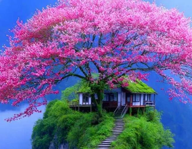 风景壁纸｜挽手山水，静养身心～