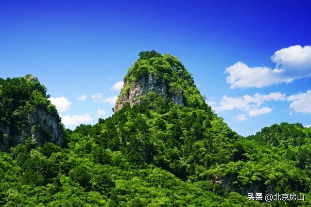 我想离开浪浪山，去房山看看！