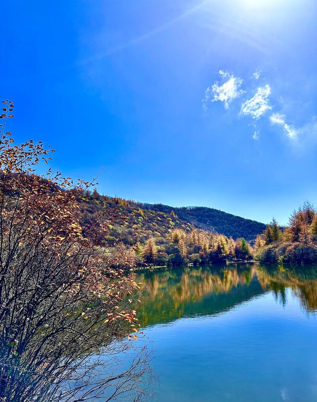 读唐诗看美景，让视觉和思绪一道欣赏黄叶遍地、层林尽染静美之景
