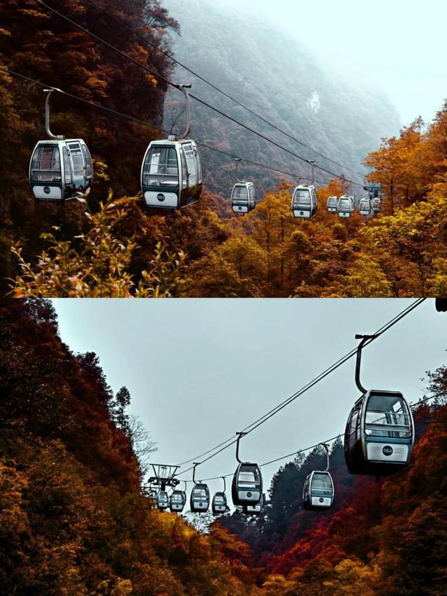 ✨逃离人海|万盛黑山谷冬日童话秘境全攻略🌲❄️