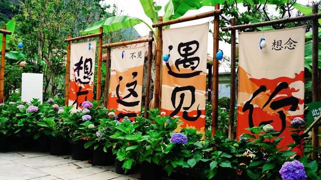 夏天，就该躲进武都的沟沟里～