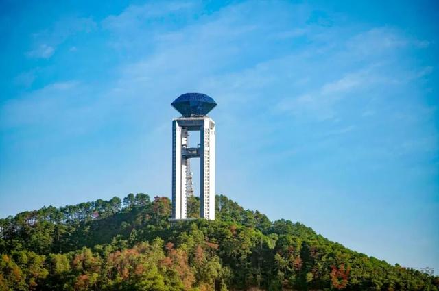 “活力大湾区，魅力新广州”来梧州旅游的大湾区小伙伴都在刷这句？原来是因为……