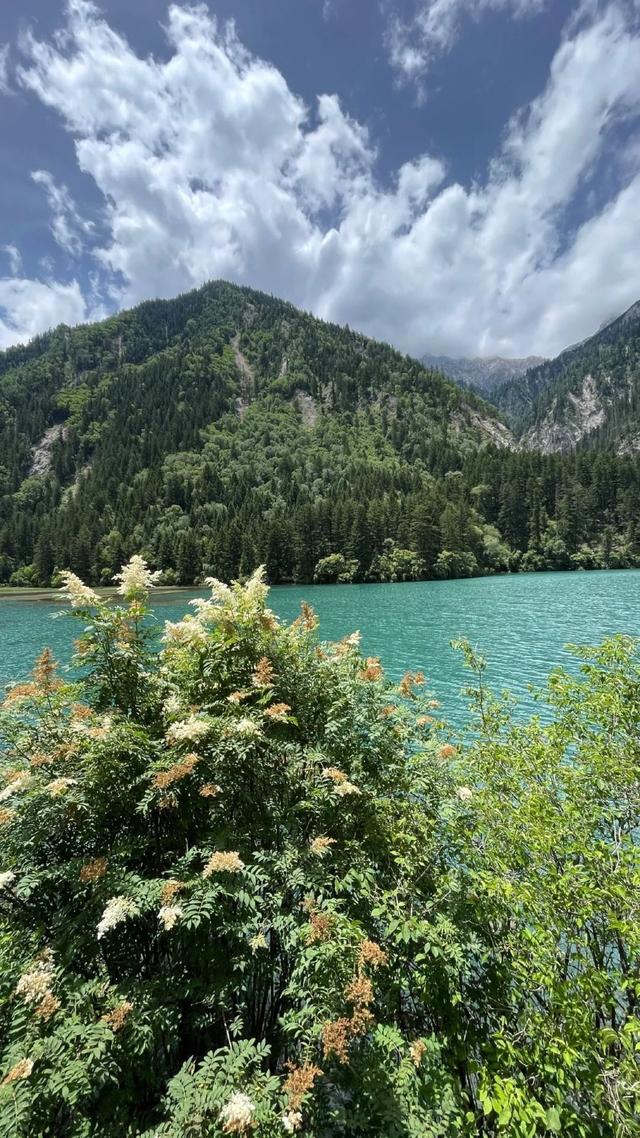 海子映山，绿意漫岸，九寨沟牌“净化器”已上线~