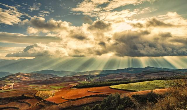 女人主动“勾”你时，张口多半是这2句，别傻愣愣听不懂