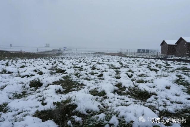 美仁初雪，八月飞白！邂逅羚城最意外的浪漫