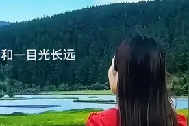 踏空者首选—谈谈海南橡胶图片