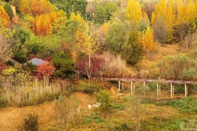 北京奥林匹克森林公园 城市中的绿色明珠