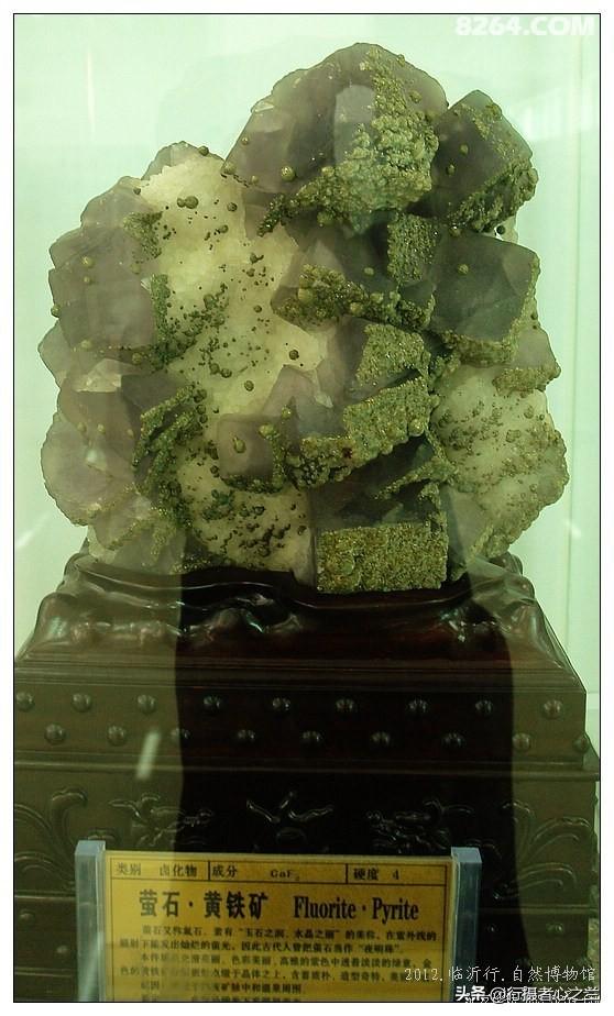 山东行游影记（31）—平邑天宇自然博物馆（六）