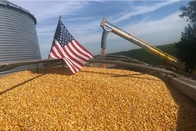 特朗普下令，要把中企一锅端	，美禁令生效前，中国取消10万吨订单