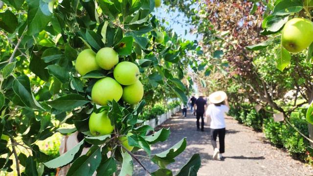 @西安人 国庆旅游新思路