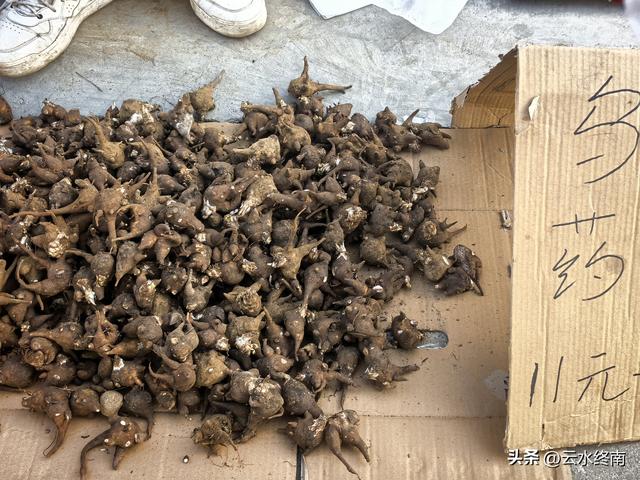 鄠邑就属这个村子传奇多，不但有炉客文化，还出过众多历史名人