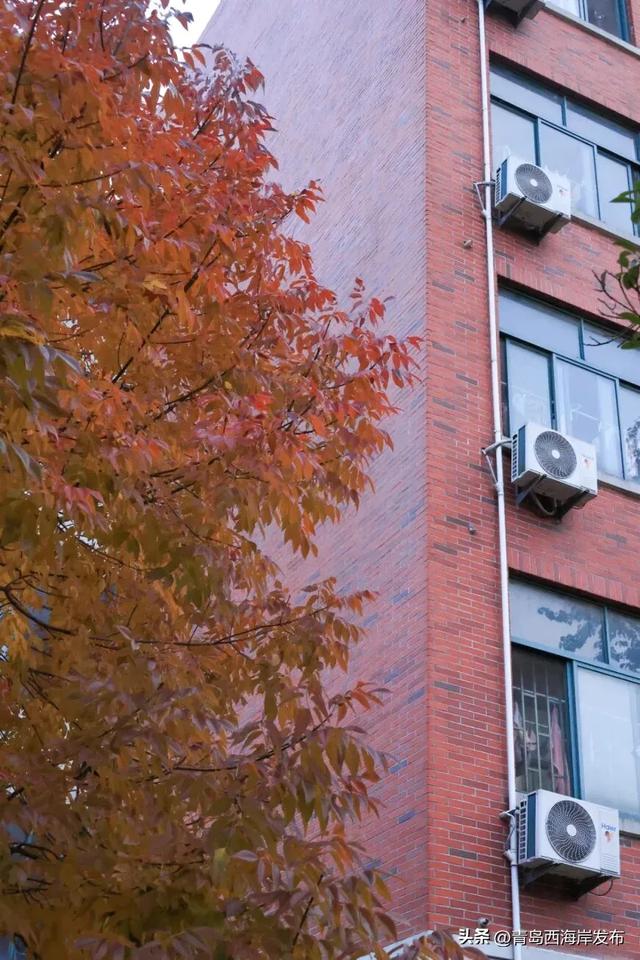 走不出这画了,我已被西海岸的秋景迷倒 🥹