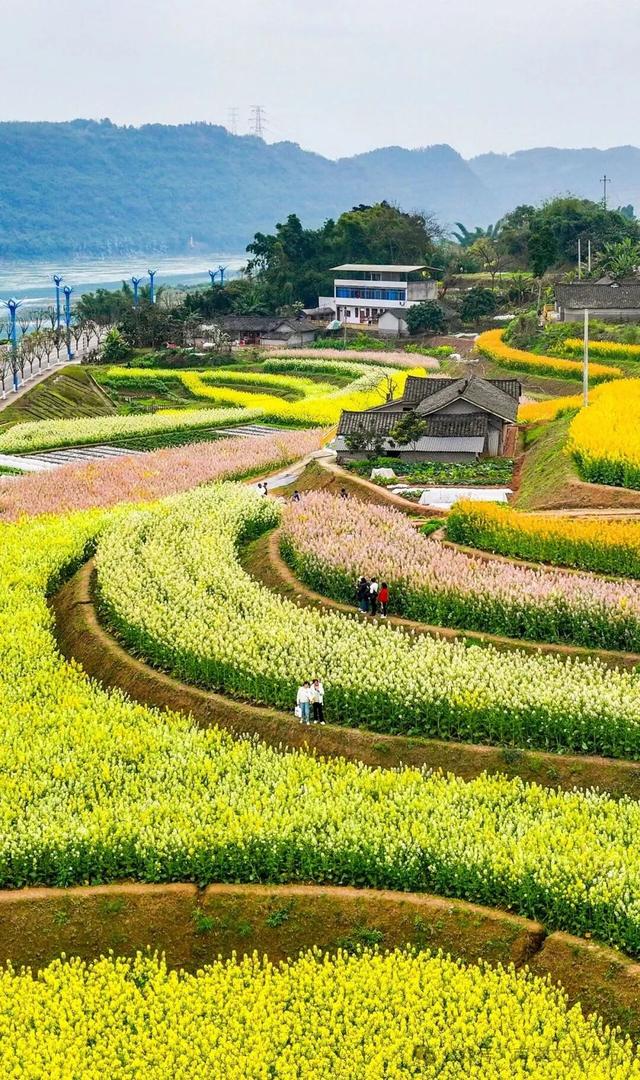 省级旅游度假区+2！每个都写满了松弛感