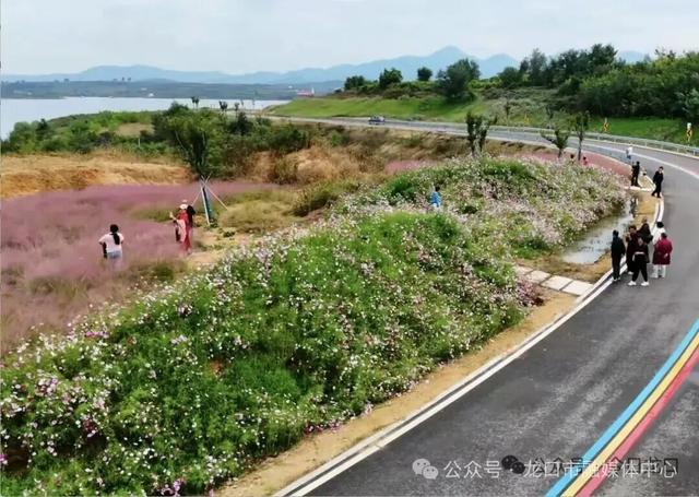 约起来！11 月 2 日龙口七甲镇骑行派对开启，湖光山色 + 红色记忆一路美到爆