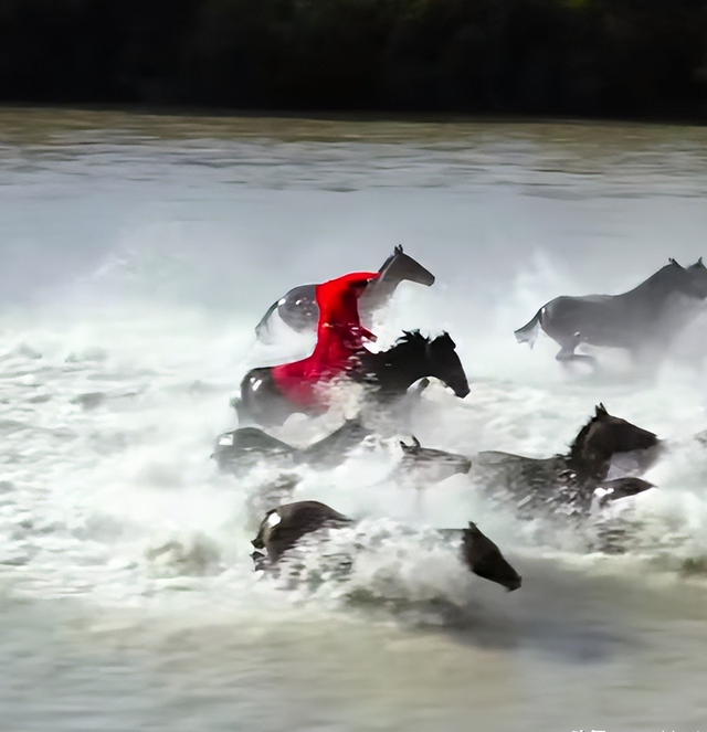 47岁贺娇龙去世！同学曝抢救过程，网友提醒成真	，此前疑早有征兆