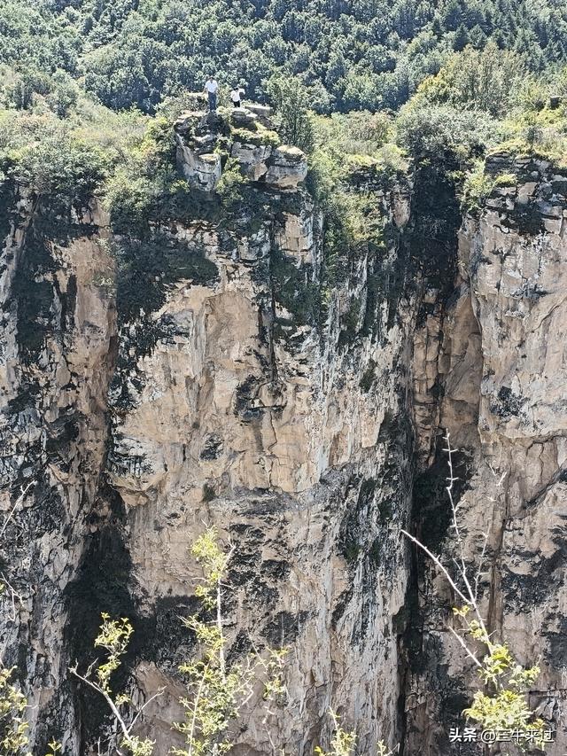 无为在歧路，壶关林州大名府7