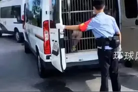 色胆包天！小学教师多次奸淫、猥亵29名幼女，死刑！他还有脸上诉图片