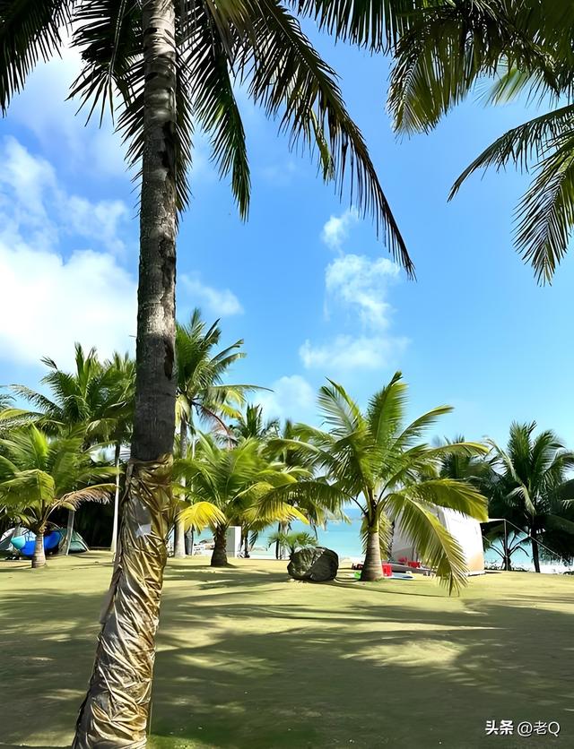 环岛纪事·创作记事