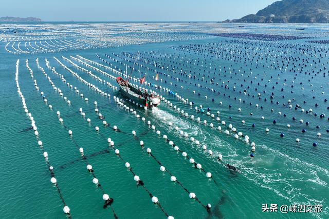 抓住夏天的尾巴，来嵊泗看一场没有“照骗”的蓝海！