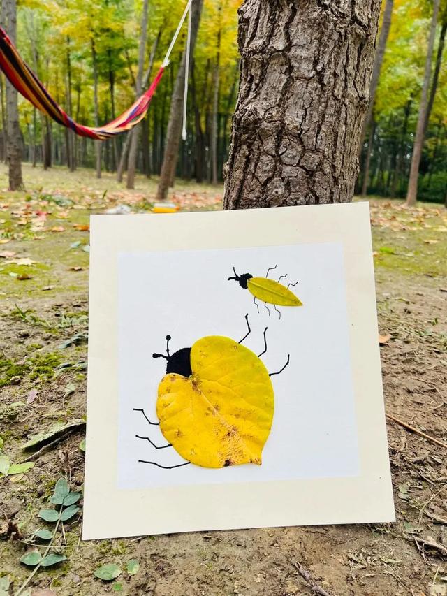 我捡，我捡，我在潍坊捡捡捡！