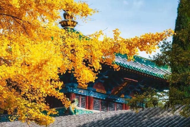 少林寺属于什么单位？是私人的还是国家的？