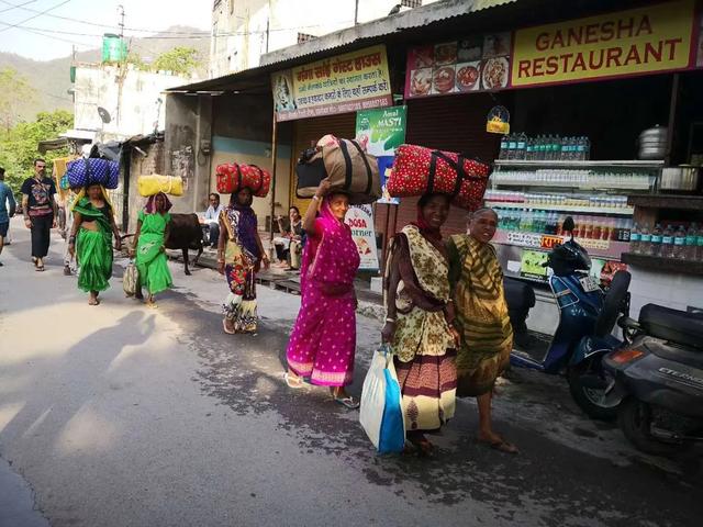 6年前,我在印度,询问当地人为什么苍蝇当道,他们的回答很费解