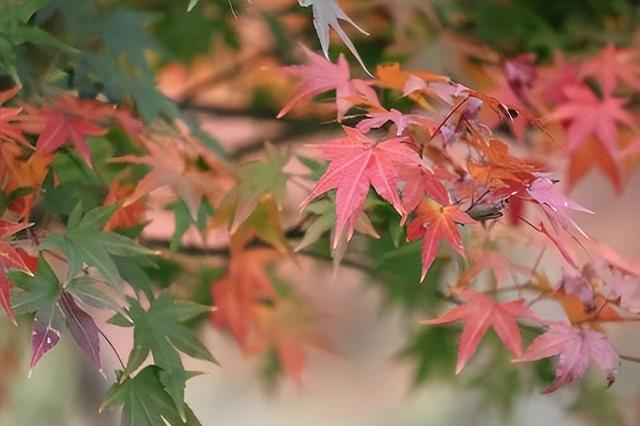 住进山海，最懂浪漫的福州人露营地