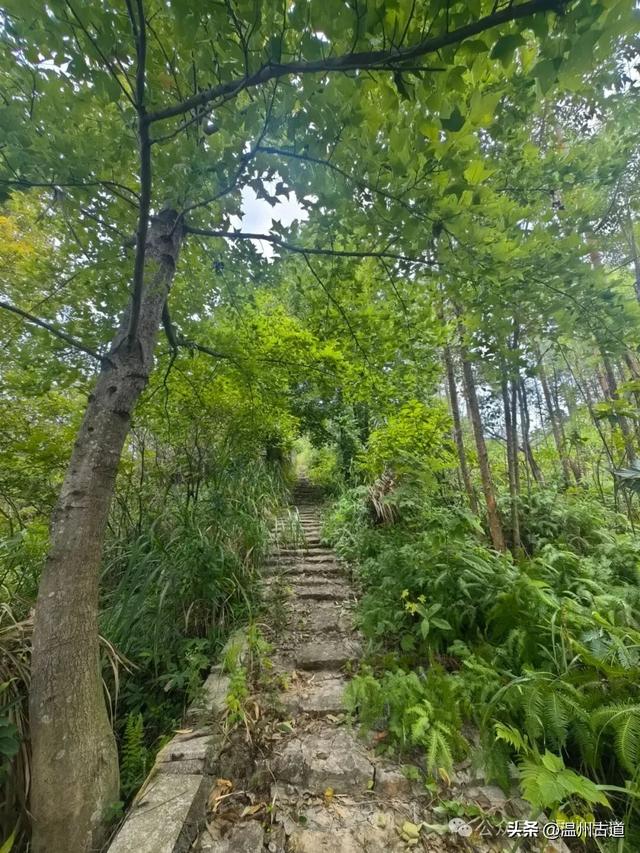 这处以玻璃栈道、落日观景和悬崖木亭而闻名的网红地,你可去过