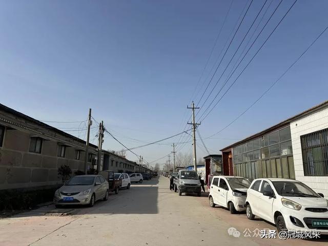 冠县乡韵·辛集镇饮马庄