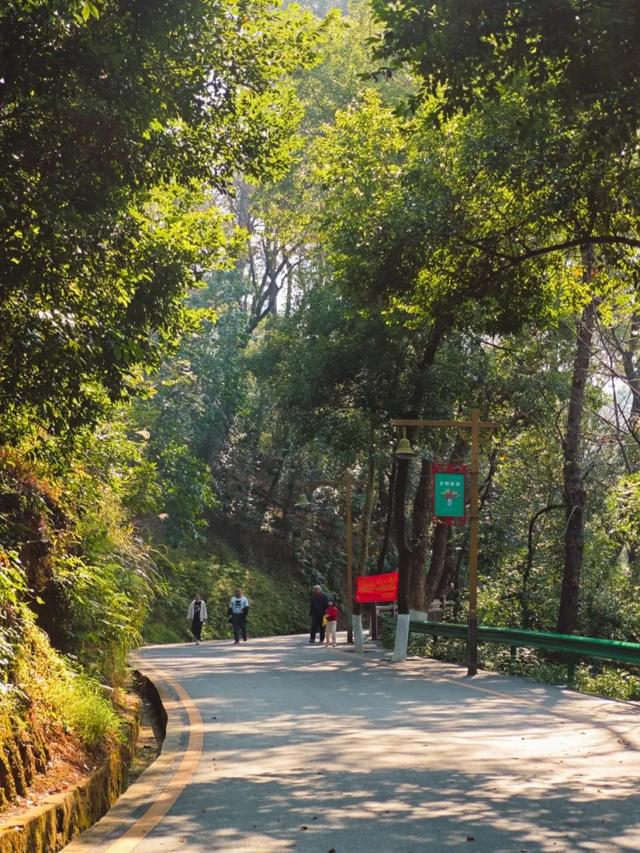 韶关这些秋冬的徒步骑行宝藏路线值得你N刷！喊上搭子，周末就出发去捕捉秋天的限定温柔
