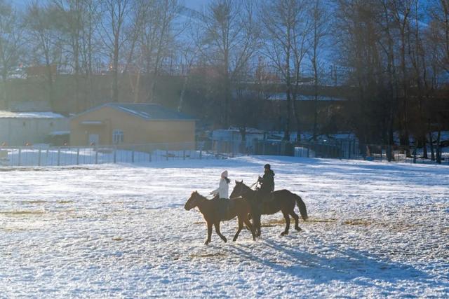 如要选一个冬季最佳拍雪景的地方,首选一定是它