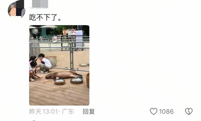 笑不活了 国庆假期结束 动物园里的动物成了第一批“受害者”