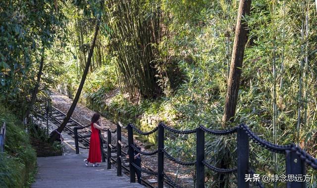 我河南人，退休跟着儿子到了乐山生活一年了，我羡慕这的生活了