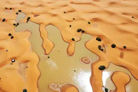 瞭望｜“气候鞭打”现象凸显极端气候风险图片