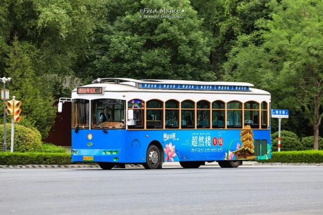 谁说旅游靠腿？来山东这么玩，日均步数＜5K！