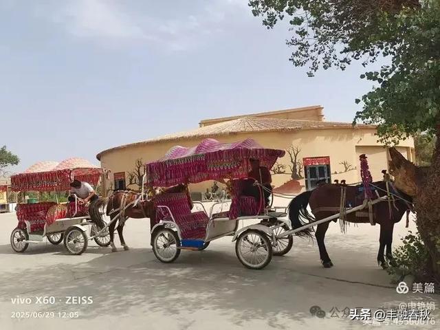 探秘新疆巴楚红海景区：自然与人文的交响｜ 申艳娟